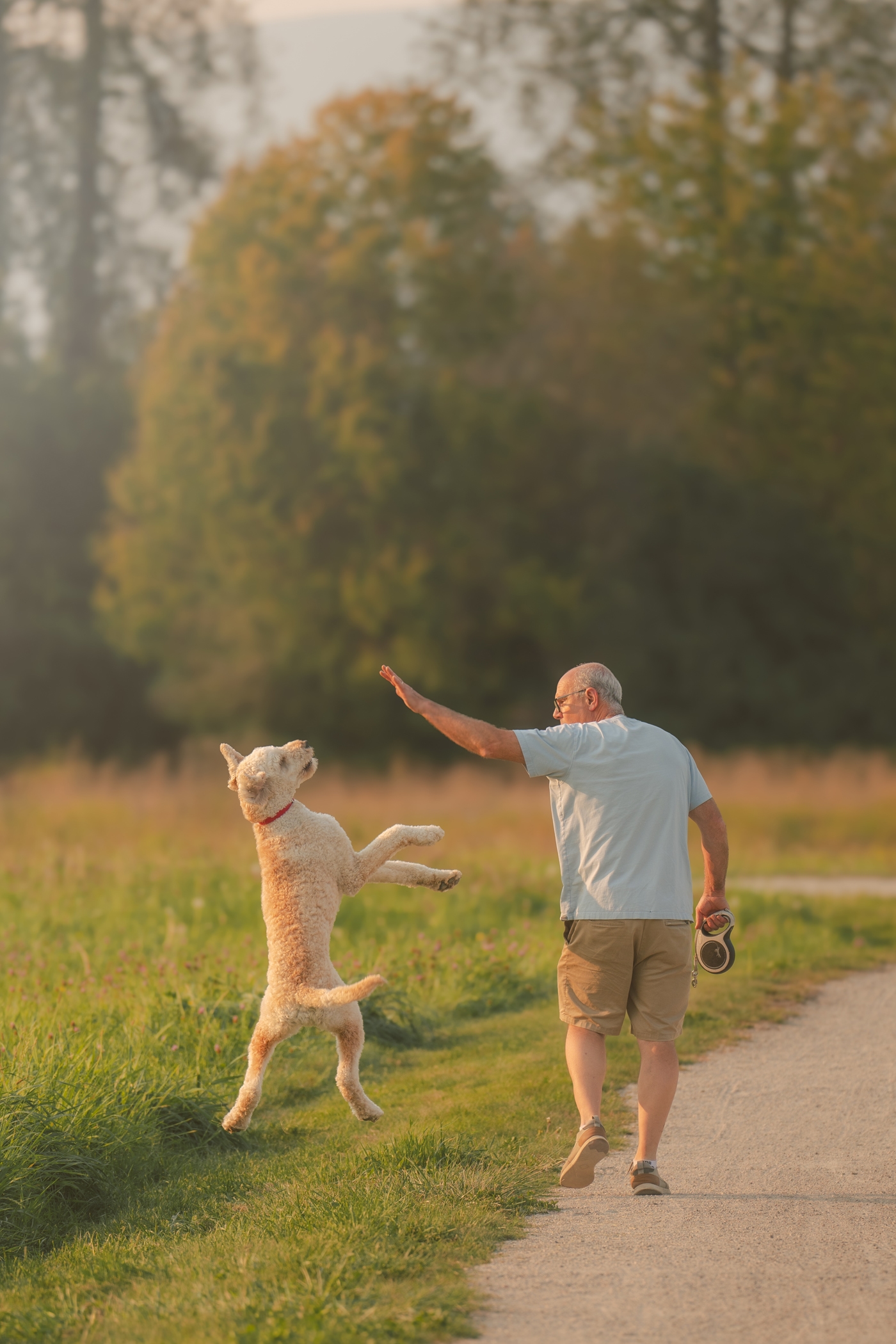 Elderly man high-fiving a jumping dog on a scenic nature walk.