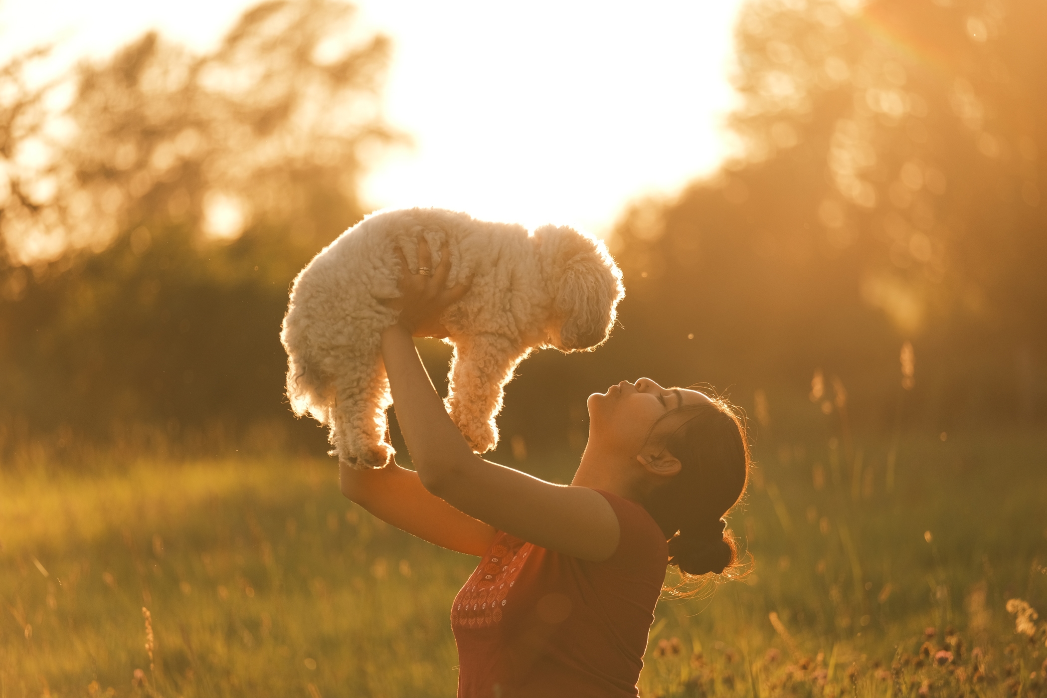 Woman holding fluffy dog at sunset in a grassy field.