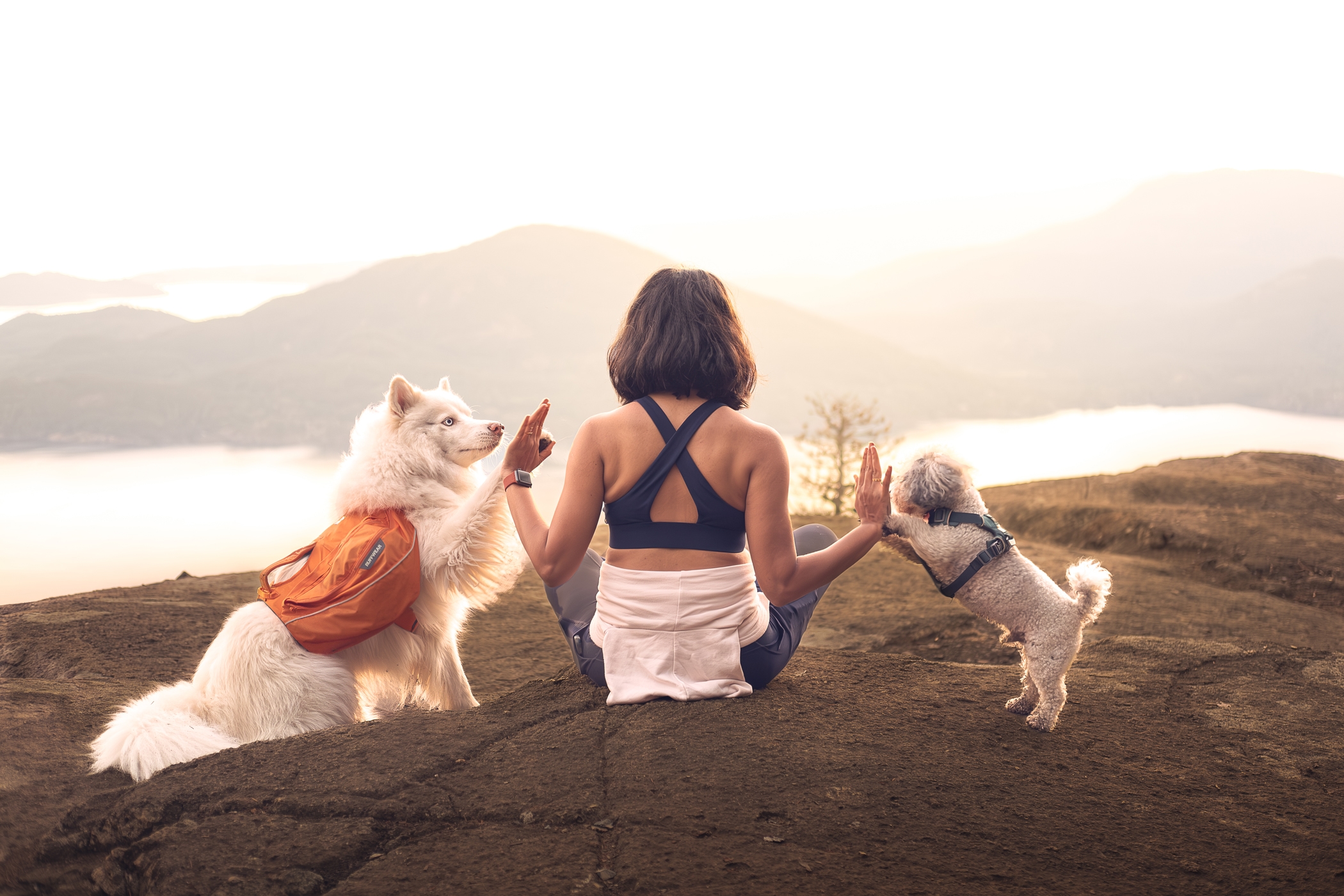 Woman hiking with dogs at sunrise, mountain view, adventure outdoor photography.