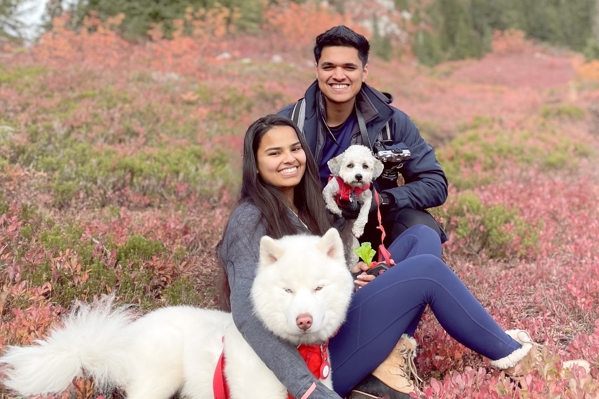 Snuggly Snouts photographers - young couple with two dogs in scenic autumn landscape, surrounded by vibrant fall foliage.